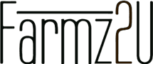 Brand 10